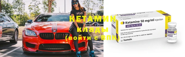 стаф Богданович