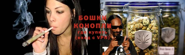 стаф Богданович
