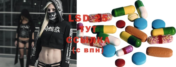 стаф Богданович