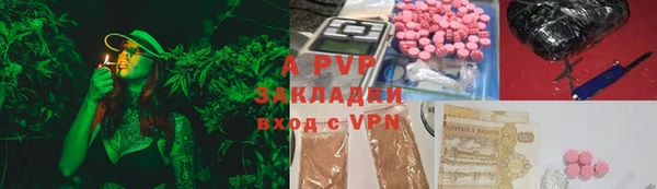 стаф Богданович