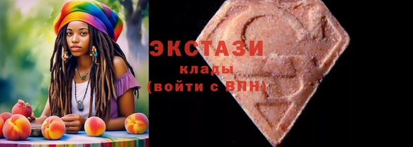 соль ск Богородицк
