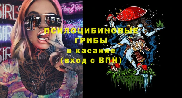 соль ск Богородицк