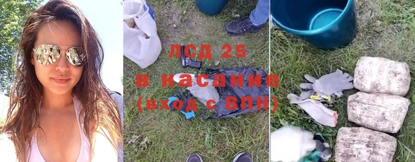 стаф Богданович