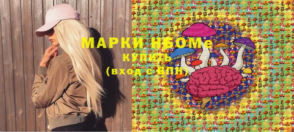 стаф Богданович