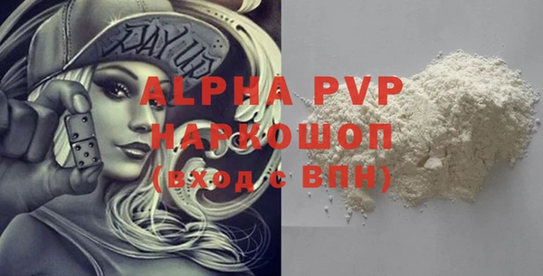 стаф Богданович