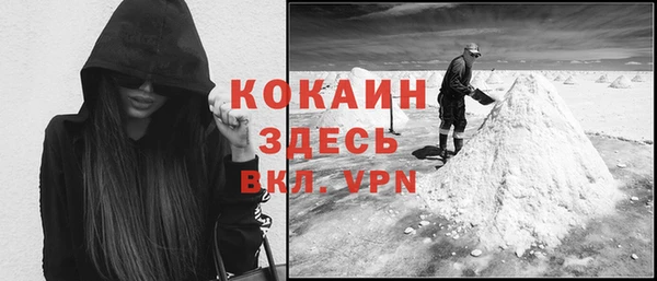 стаф Богданович