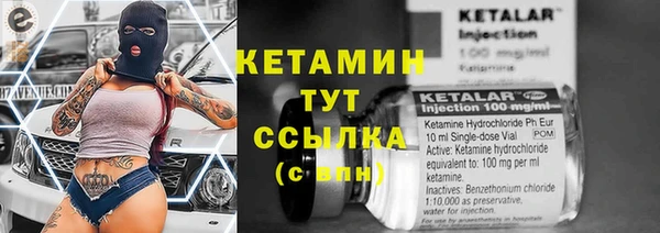соль ск Богородицк