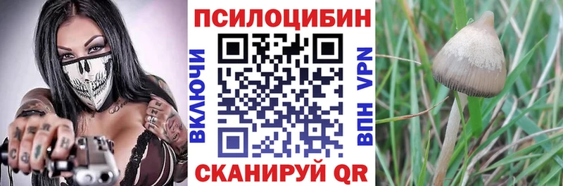 купить наркотик  Михайлов  Псилоцибиновые грибы ЛСД 