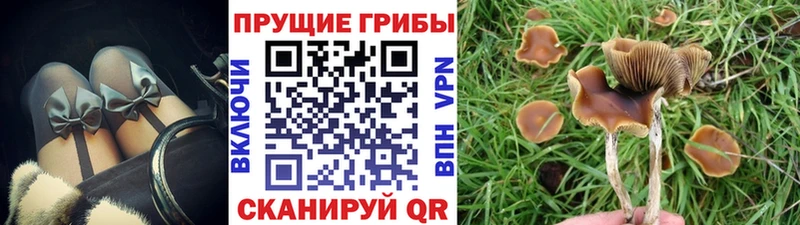 Галлюциногенные грибы ЛСД Михайлов